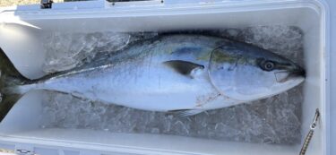 ブリジギングに出船しました(^_-)-☆